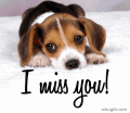 Comments, Graphics - I miss you 